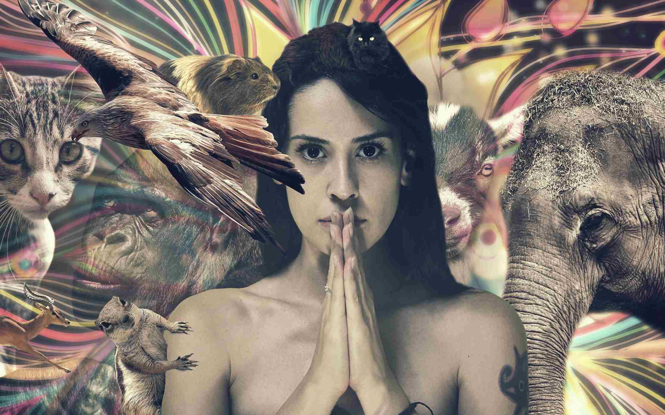 PRUEBA 2